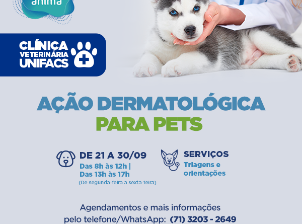 Bahia: Ação dermatológica para PETs é realizada por clínica escola