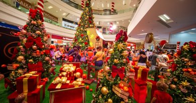 Crianças e adultos podem conferir até 26/12, o Natal Mágico de Oz, do Salvador Norte. Confira também a programação do Salvador Shopping, entre elas, o projeto Mickey e Amigos.