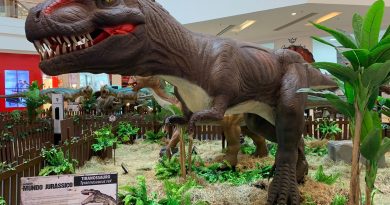 Fim de semana: exposição gratuita exibe 12 dinossauros de até 6m de altura