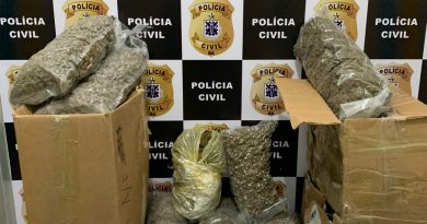 Mais de 20 quilos de maconha, enviados do Paraná para Vitória da Conquista e Jequié, foram apreendidos pela equipe da especializada