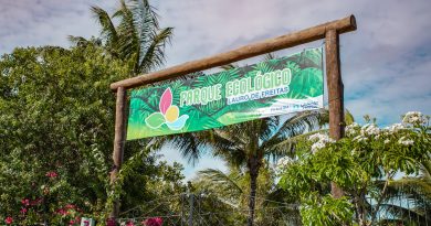 Marcando ainda a comemoração de cinco anos de reabertura do Parque e compondo a programação do Dia Mundial do Meio Ambiente.