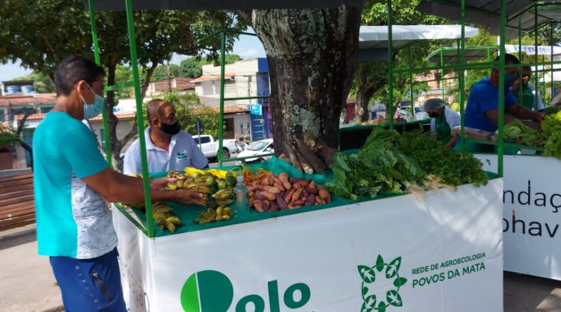 Camaçari está classificada como Pré-Núcleo Polo Verde. O município é a sede do projeto, que engloba também unidades produtivas de Mata de São João e Itanagra.