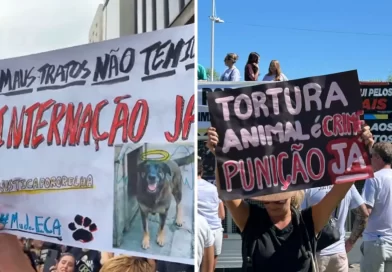 Polícia Civil conclui investigação sobre ataques aos cães Orelha e Caramelo em Santa Catarina