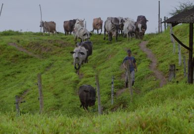 Programa que investiga ruralidades no Brasil estreia na Bahia com exibição nacional confirmada 