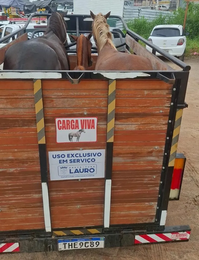 Imagem da notícias