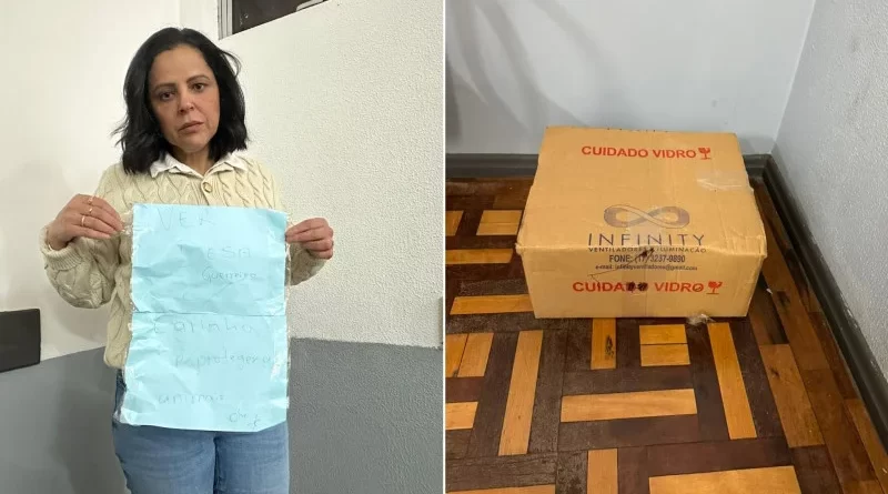 Vereadora encontra cachorro morto em caixa entregue no gabinete e caso é investigado no RS