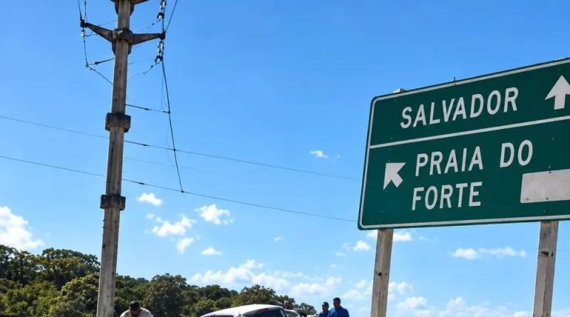 Foto: Aprimorada por IA